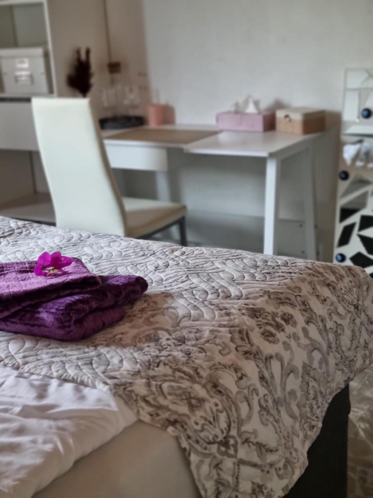 Apartment Sasu Φριντρισχάφεν Εξωτερικό φωτογραφία